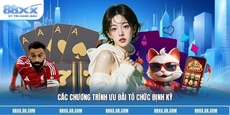 Các chương trình ưu đãi tổ chức định kỳ